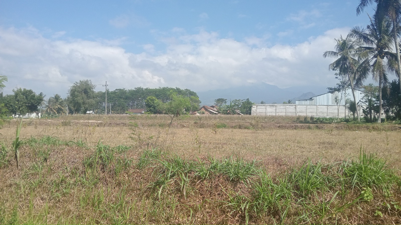 batas barat.png