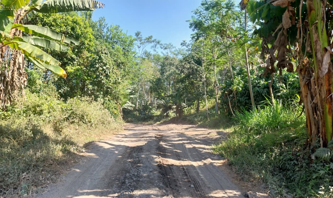 batas selatan desa mojogemi.png